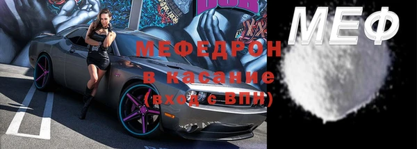 индика Богородск