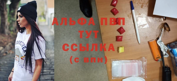 индика Богородск
