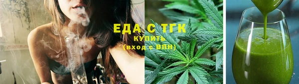 индика Богородск