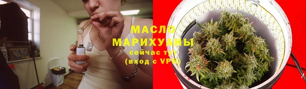 индика Богородск
