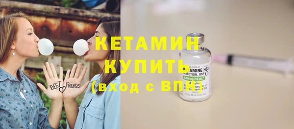 индика Богородск