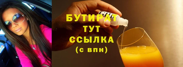 индика Богородск
