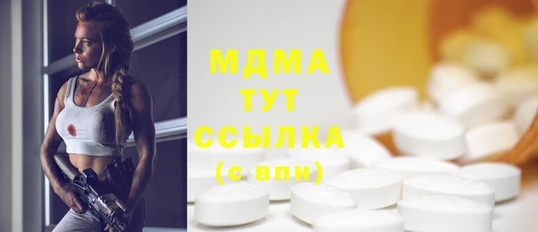 индика Богородск