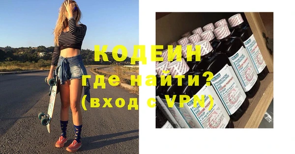 индика Богородск