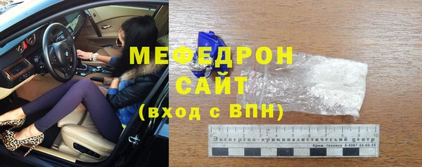 индика Богородск