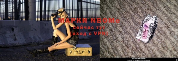 индика Богородск