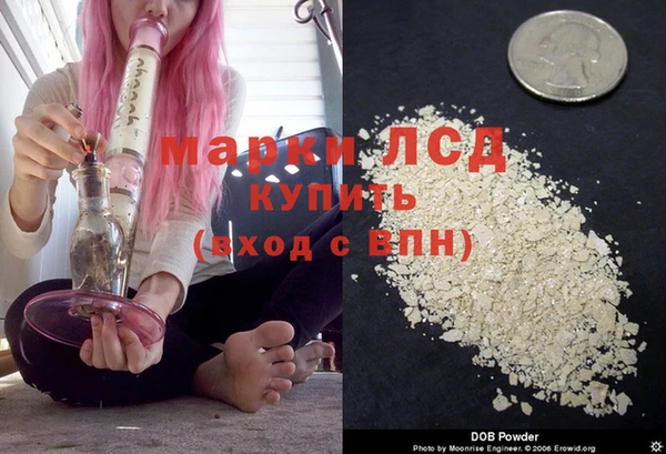 индика Богородск